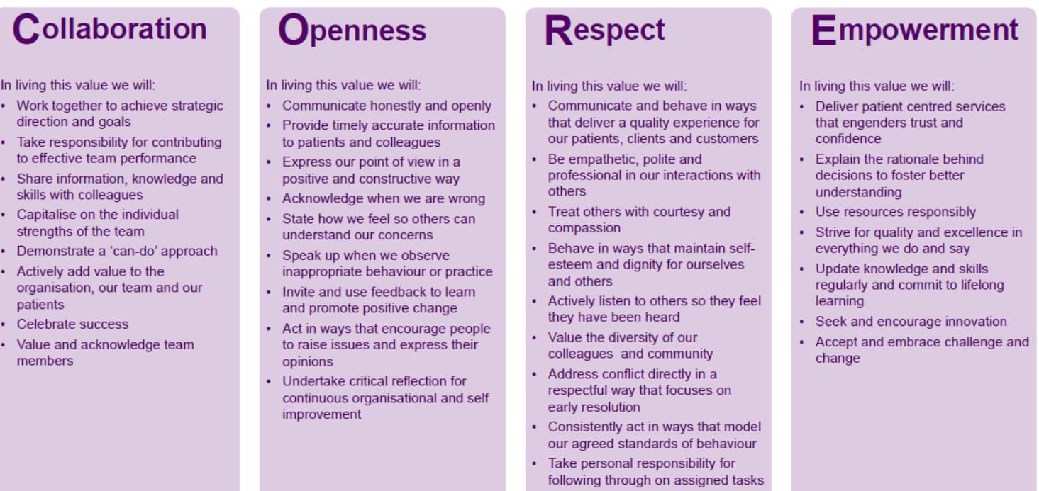NSW core values NSW core values