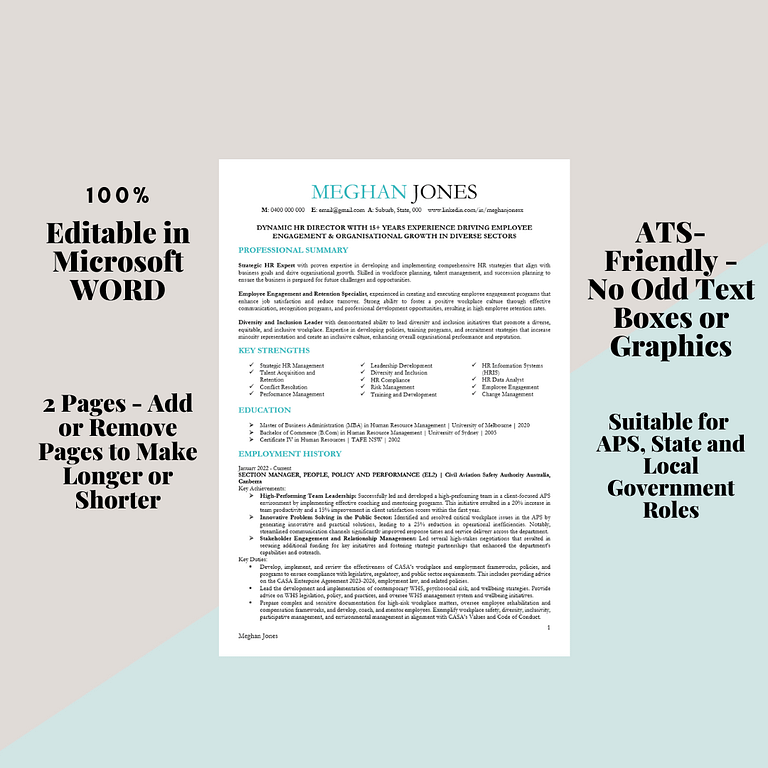 Government Resume Template APS State and Local Government